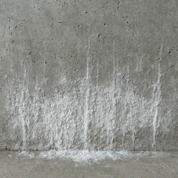 White efflorescence mineral deposits on a basement concrete foundation wall