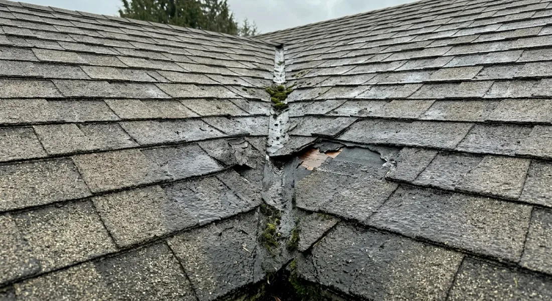 Roof Leak Repair in Langley
